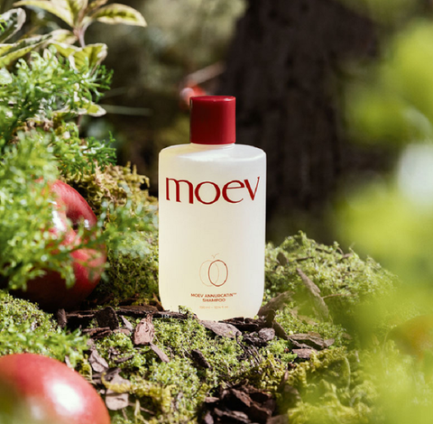 MOEV Annurcatin Shampoo 300ml