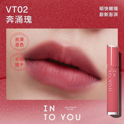 INTO YOU Velvet Lip Matt In Rose #VT02 2.6G