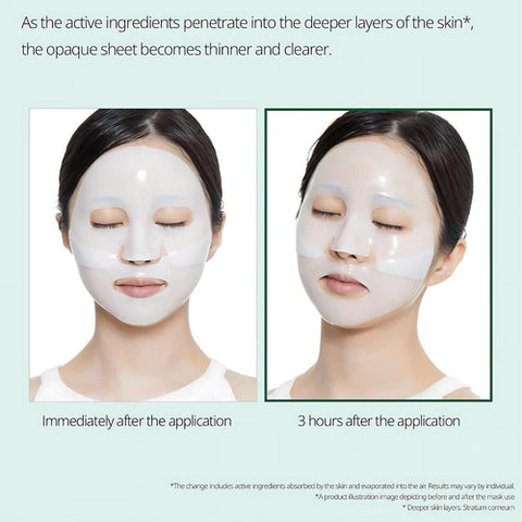 VT Cosmetics Pro CICA Reedle Shot 100 Firming Hydrogel Mask (1Pc)