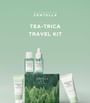 SKIN1004 Madagascar Centella Tea-Trica Travel Kit (4 Pcs)